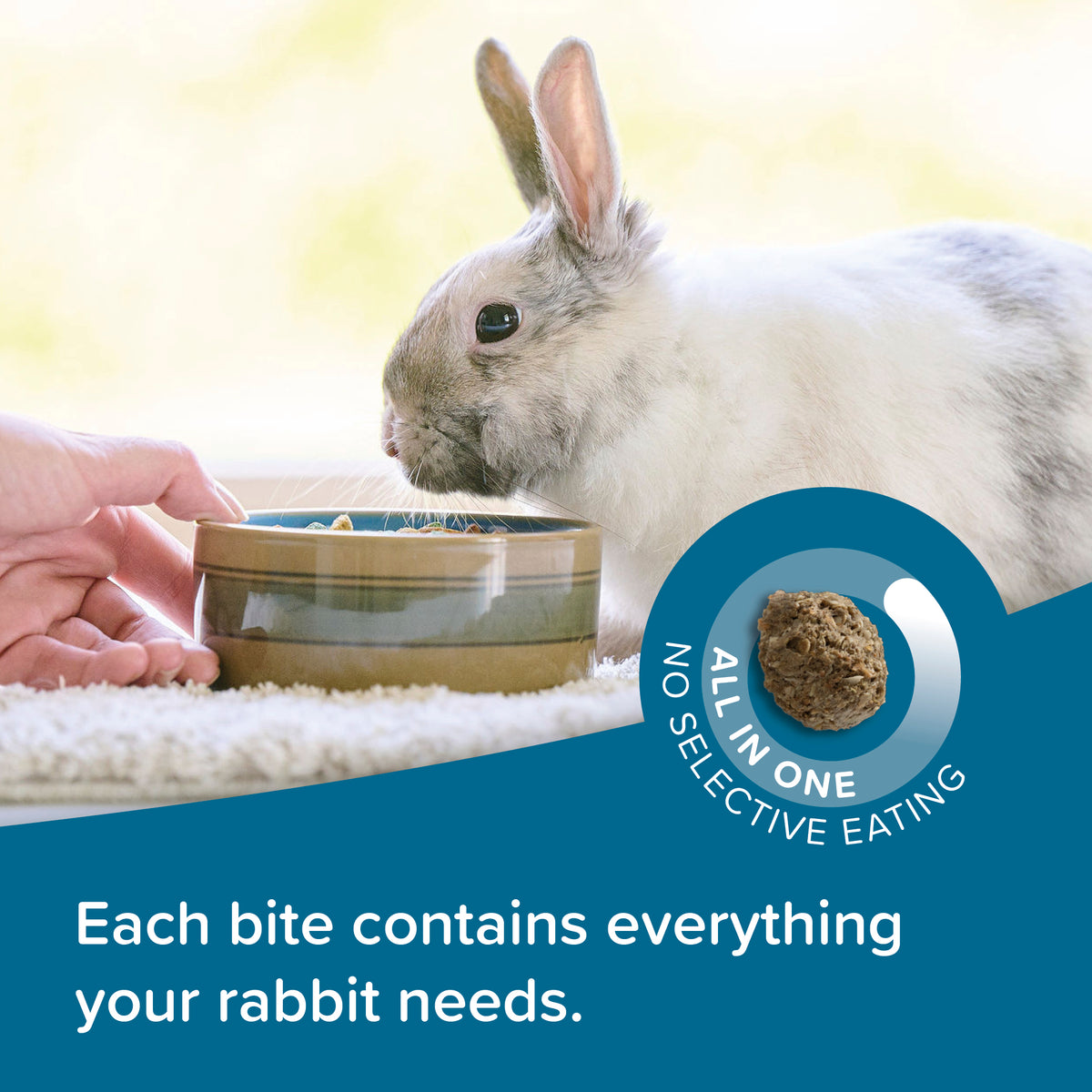 Beaphar Care+ Rabbit Senior — imagen 6