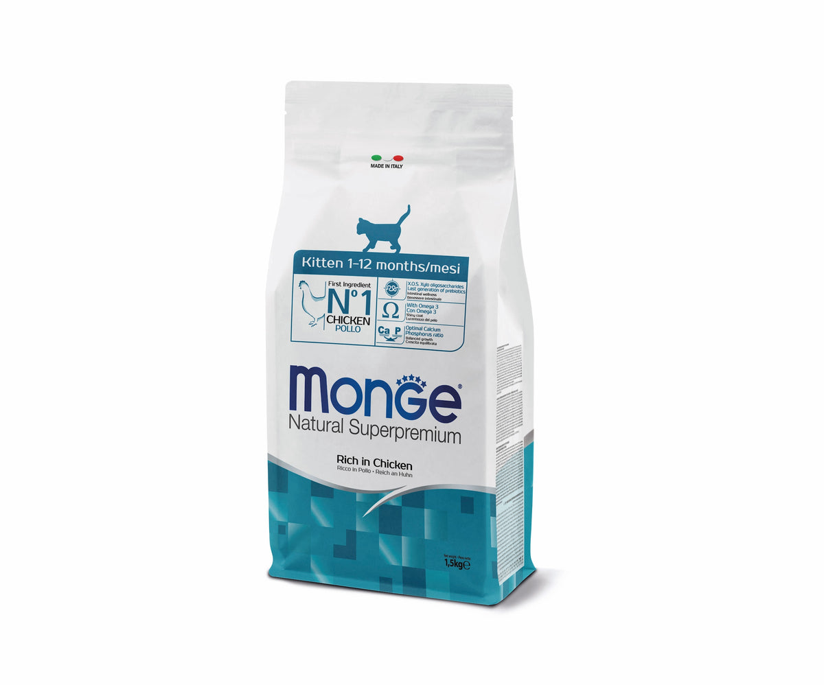 Monge | Seco gatitos Kitten