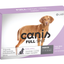 Labyes | Canis Fullspot