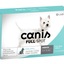 Labyes | Canis Fullspot