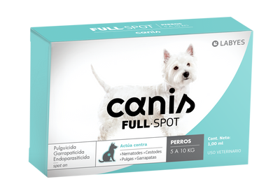 Labyes | Canis Fullspot