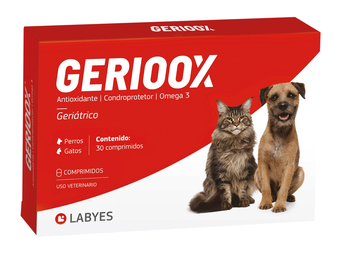 Labyes | Gerioox