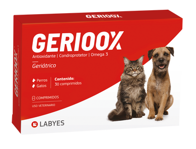 Labyes | Gerioox