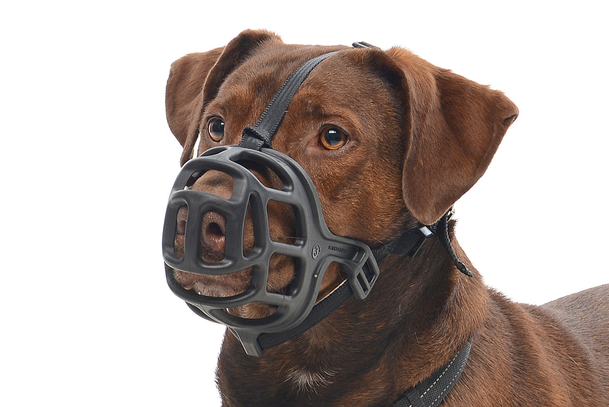 KRUUSE | Bozal extreme de caucho para perro - principal packshot
