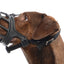 KRUUSE | Bozal extreme de caucho para perro - secondary packshot or packaging