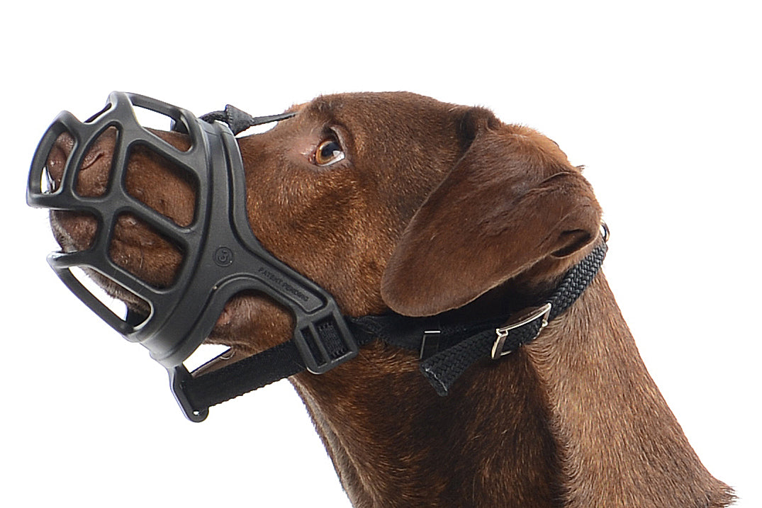 KRUUSE | Bozal extreme de caucho para perro - secondary packshot or packaging