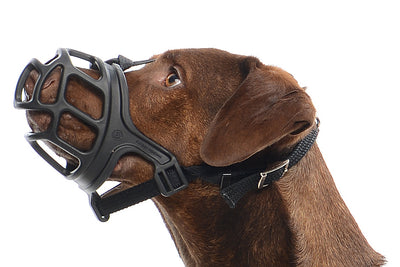 KRUUSE | Bozal extreme de caucho para perro - secondary packshot or packaging