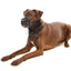 KRUUSE | Bozal extreme de caucho para perro - secondary detail or packaging