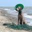 KRUUSE | Collar isabelino BUSTER Green Ocean - secondary packshot or packaging