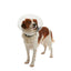 KRUUSE | Collar isabelino BUSTER clic - principal packshot