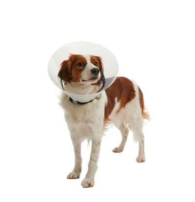 KRUUSE | Collar isabelino BUSTER clic - principal packshot