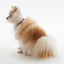 KRUUSE | Collar isabelino BUSTER braquicéfalos - secondary packshot or packaging