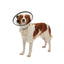 KRUUSE | Collar isabelino BUSTER quick - secondary packshot or packaging