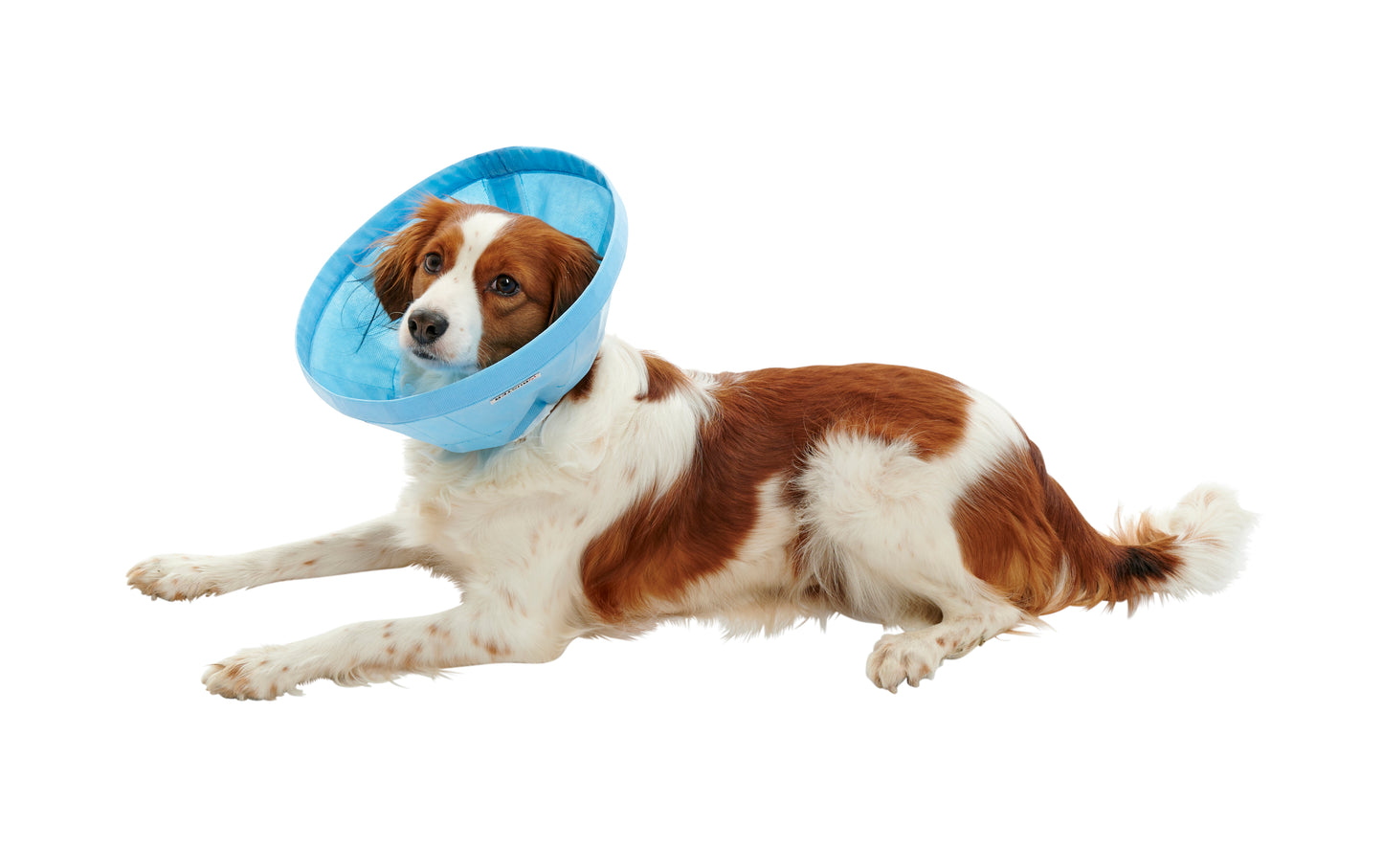 KRUUSE | Collar isabelino BUSTER Soft Flex - principal packshot