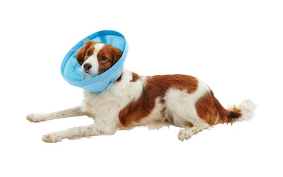 KRUUSE | Collar isabelino BUSTER Soft Flex - principal packshot