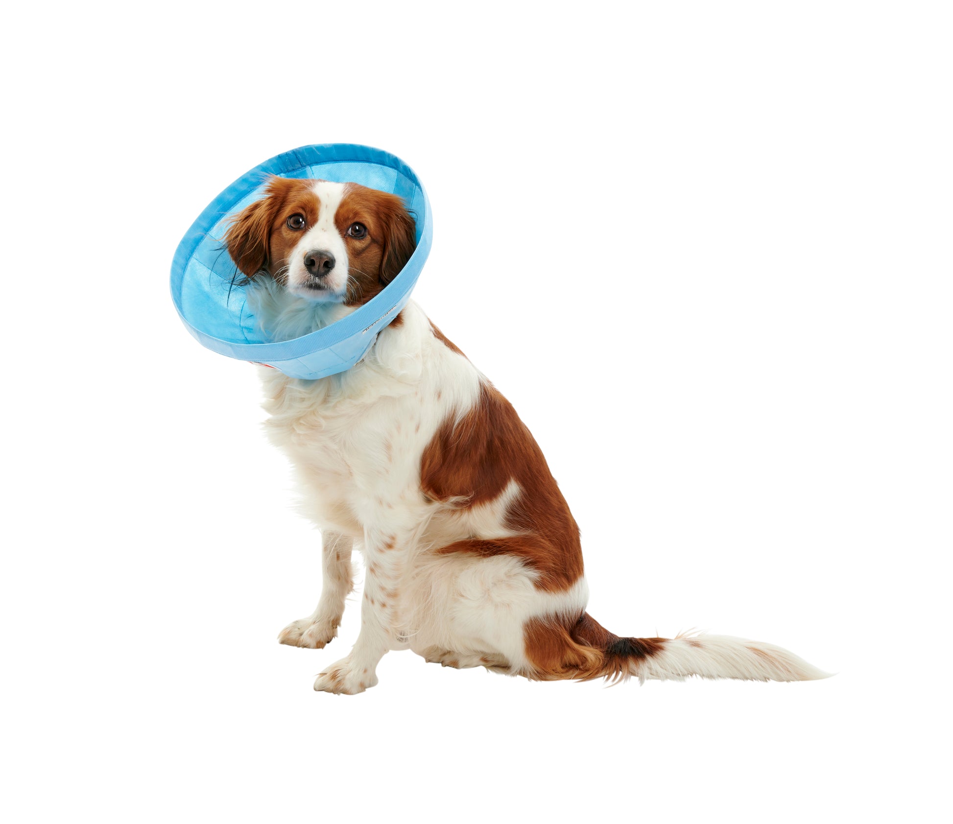 KRUUSE | Collar isabelino BUSTER Soft Flex - secondary packshot or packaging