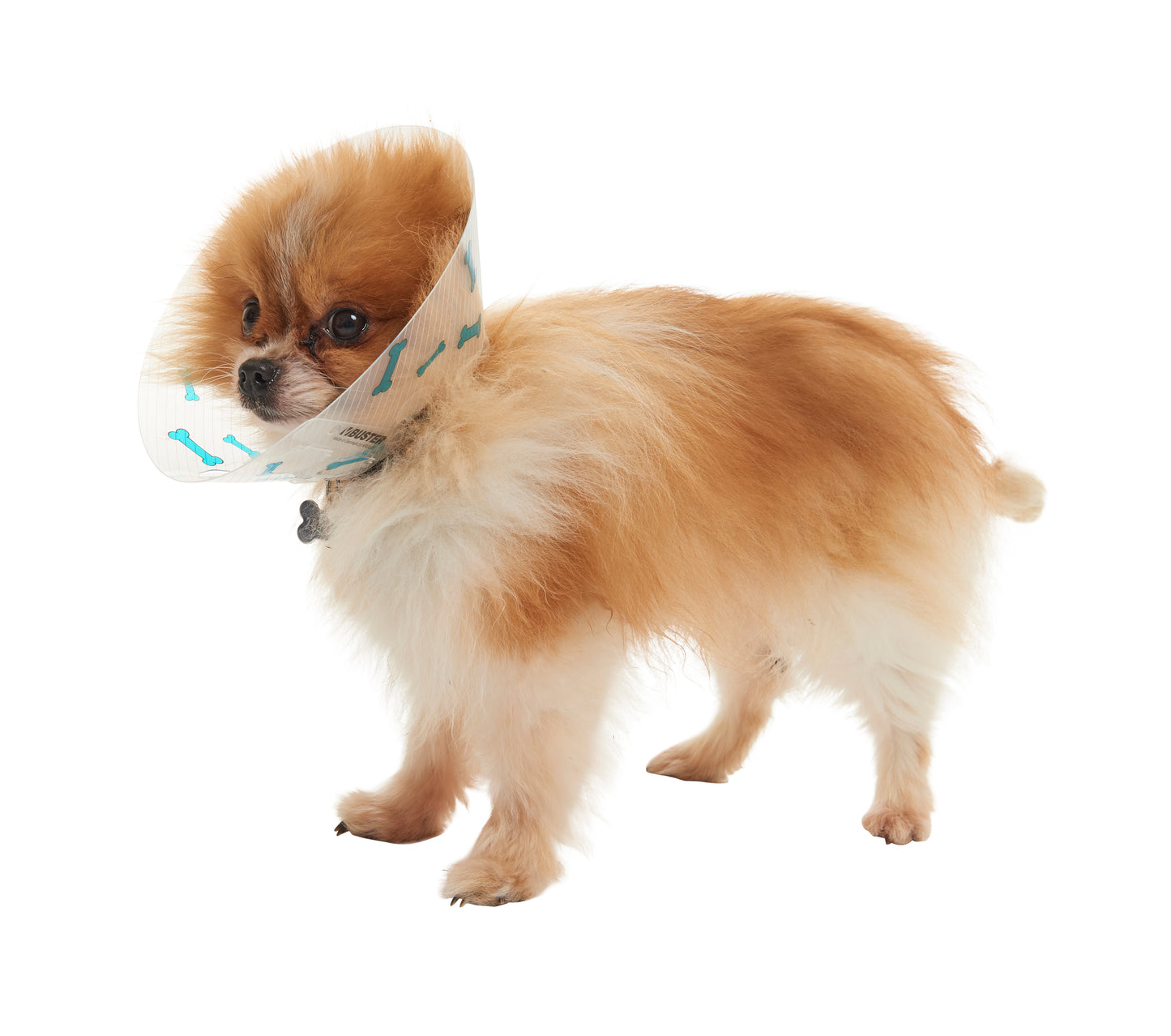 KRUUSE | Collar isabelino BUSTER huesitos - secondary packshot or packaging