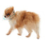 KRUUSE | Collar isabelino BUSTER huesitos - secondary detail or packaging