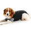 KRUUSE | BUSTER bodysuit EasyGo para perro - principal packshot