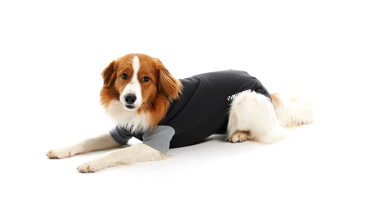 KRUUSE | BUSTER bodysuit EasyGo para perro - principal packshot