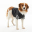 KRUUSE | BUSTER bodysuit EasyGo para perro - secondary packshot or packaging