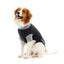 KRUUSE | BUSTER bodysuit EasyGo para perro - secondary detail or packaging
