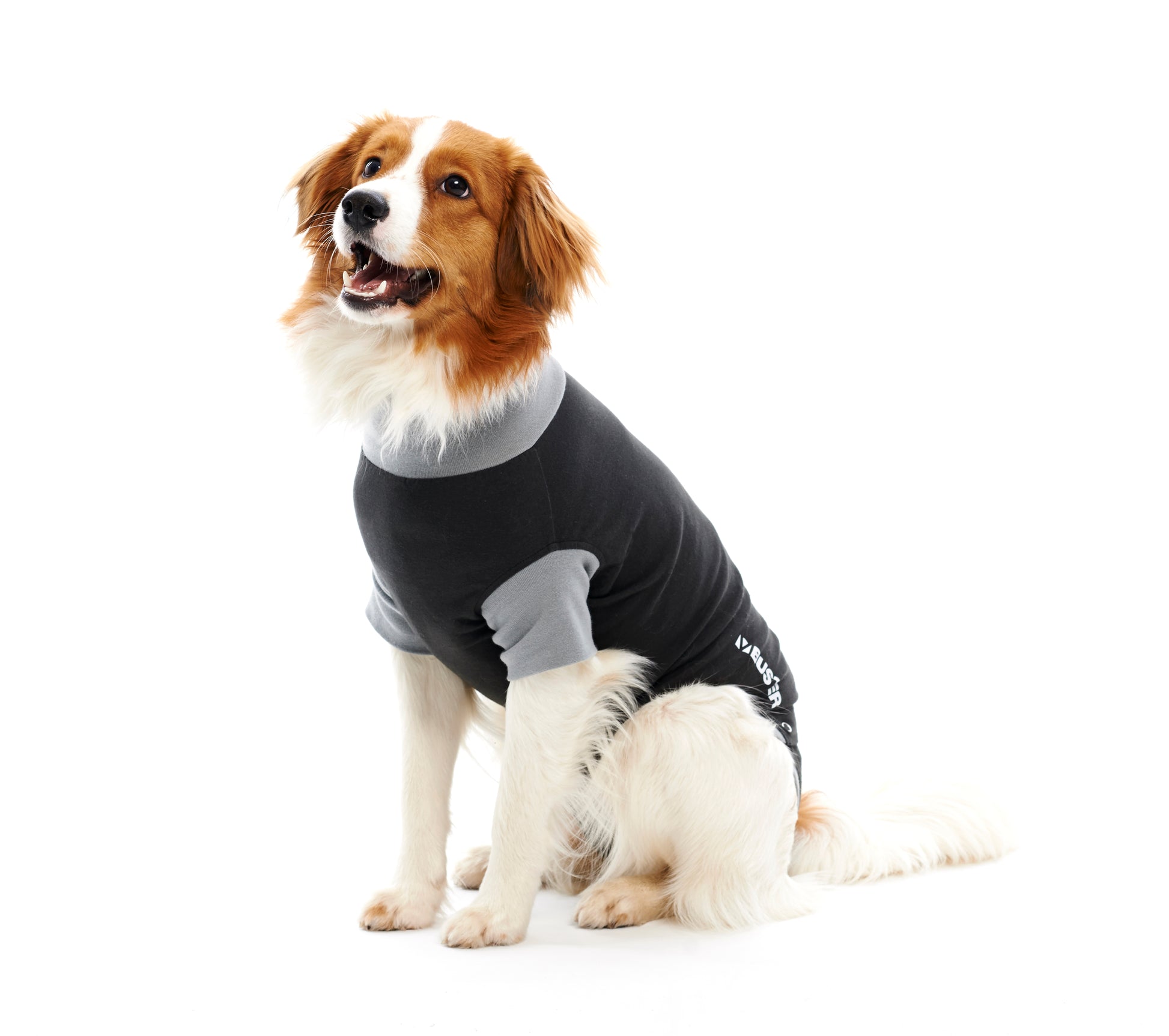 KRUUSE | BUSTER bodysuit EasyGo para perro - secondary detail or packaging