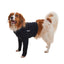 KRUUSE | BUSTER body sleeves patas delanteras - principal packshot