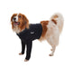 KRUUSE | BUSTER body sleeves patas delanteras - principal packshot
