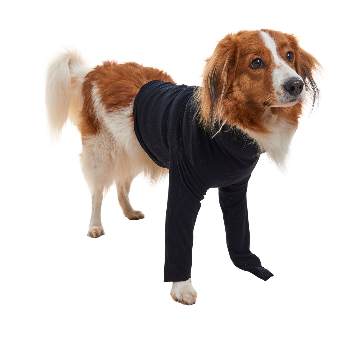 KRUUSE | BUSTER body sleeves patas delanteras - secondary packshot or packaging