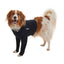 KRUUSE | BUSTER body sleeves patas delanteras - secondary detail or packaging
