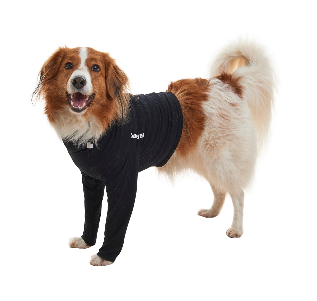 KRUUSE | BUSTER body sleeves patas delanteras - secondary detail or packaging