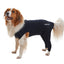 KRUUSE | BUSTER body sleeves patas traseras - principal packshot