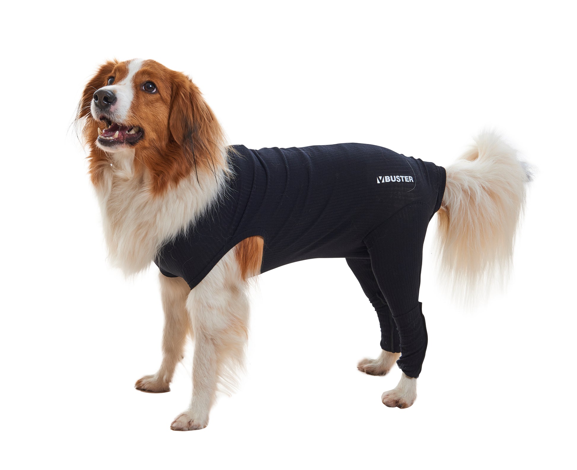 KRUUSE | BUSTER body sleeves patas traseras - principal packshot