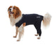 KRUUSE | BUSTER body sleeves patas traseras - principal packshot