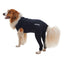 KRUUSE | BUSTER body sleeves patas traseras - secondary packshot or packaging