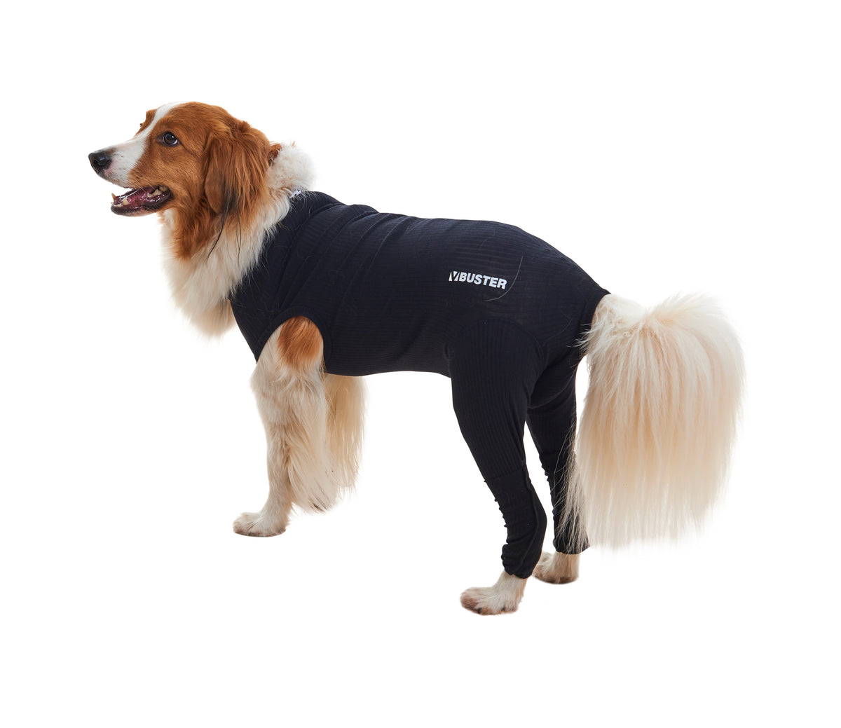KRUUSE | BUSTER body sleeves patas traseras - secondary packshot or packaging