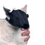 KRUUSE | Bozal de nylon para gato - principal packshot