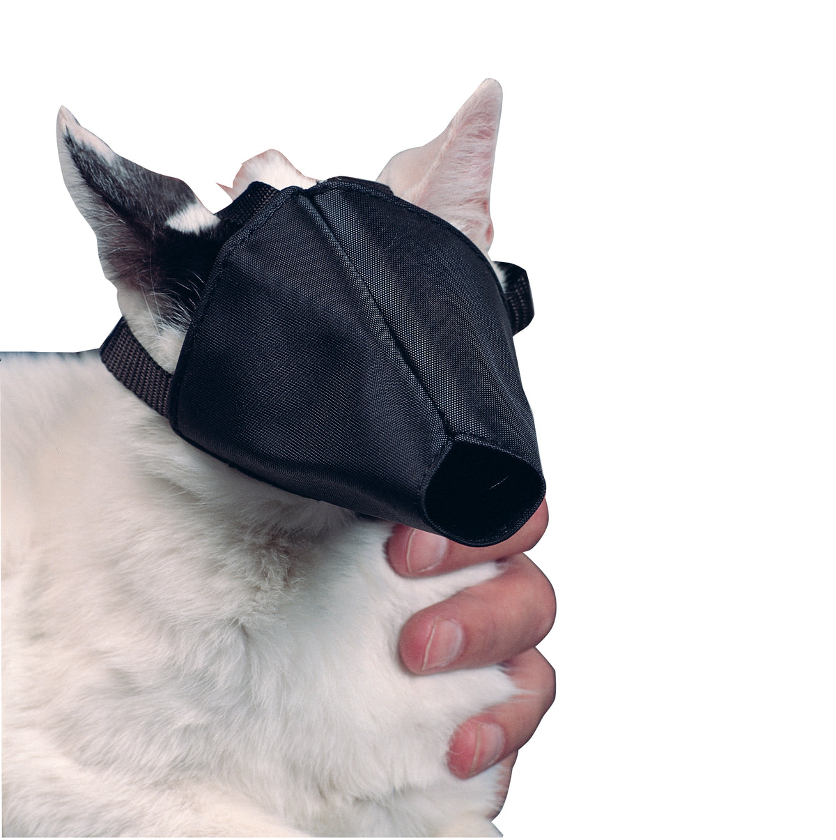 KRUUSE | Bozal de nylon para gato - principal packshot