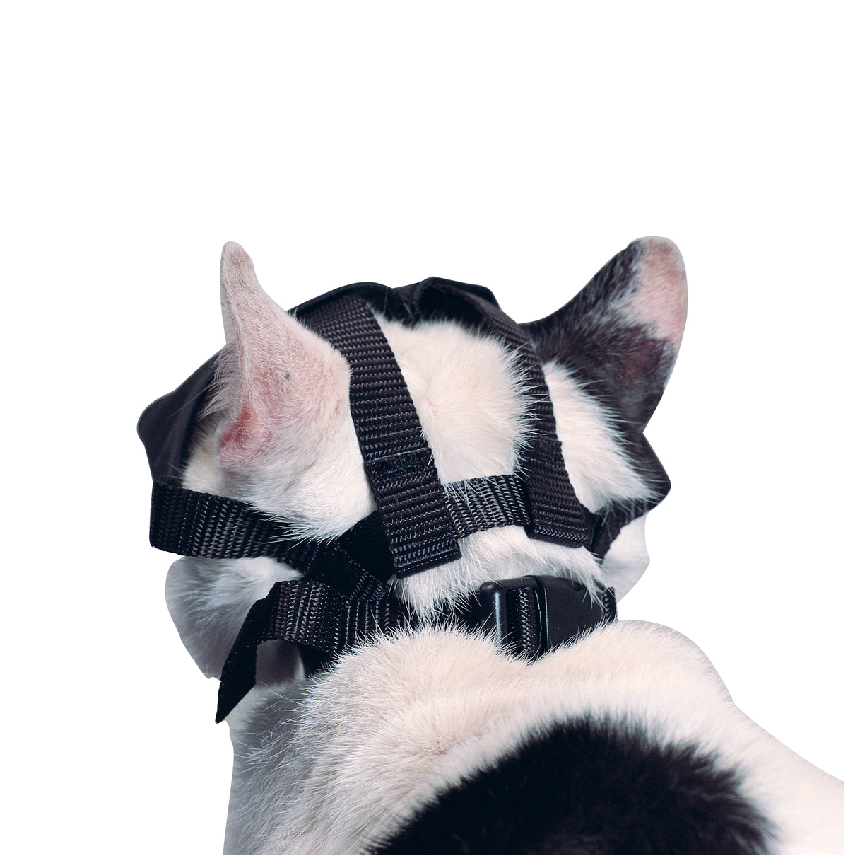 KRUUSE | Bozal de nylon para gato - secondary packshot or packaging