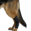 KRUUSE | Protector articular metatarso - secondary packshot or packaging