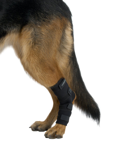 KRUUSE | Protector articular metatarso - secondary packshot or packaging