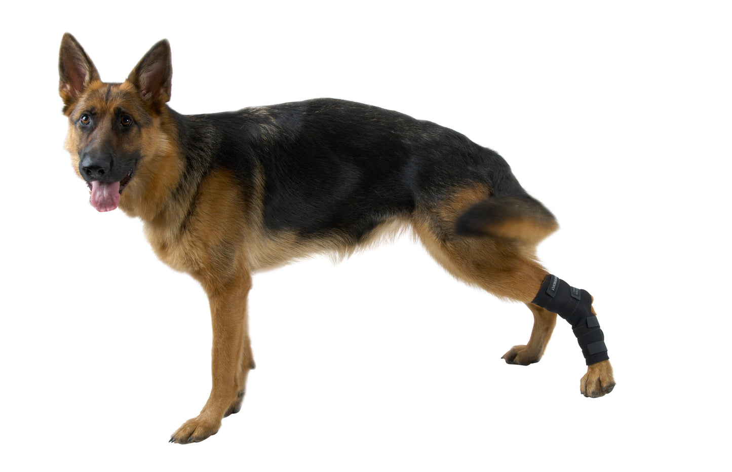 KRUUSE | Protector articular metatarso - secondary detail or packaging
