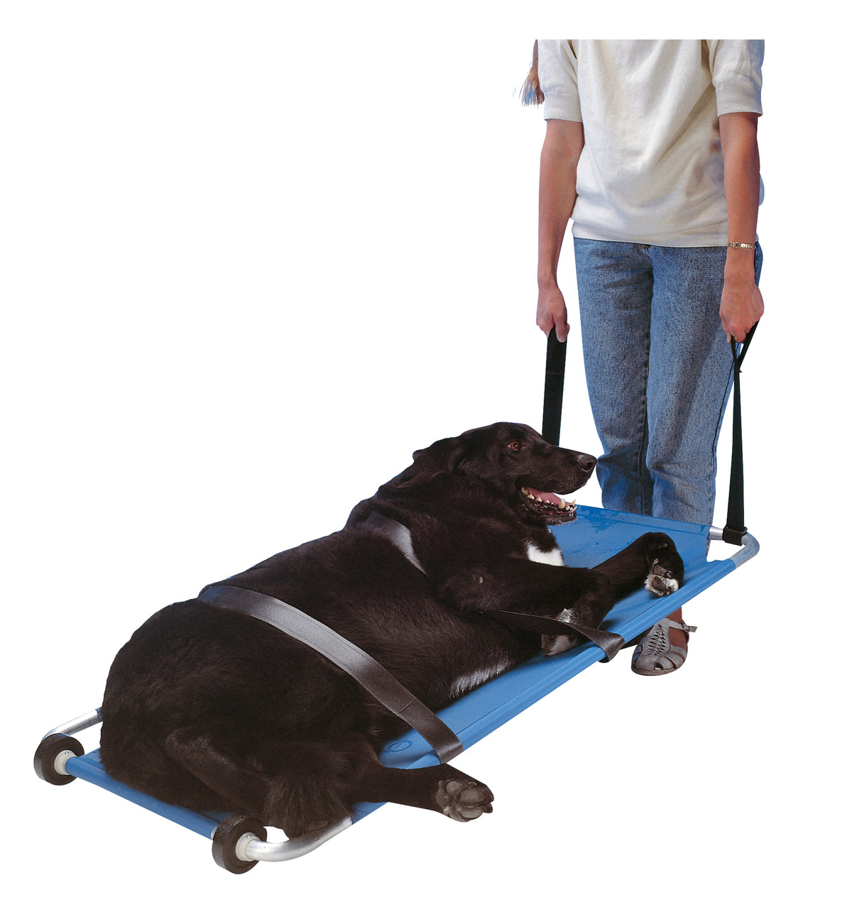 KRUUSE | Camilla para animales - principal packshot