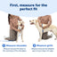 Easy Walk® 3 in 1 Harness with Two Point Control Leash