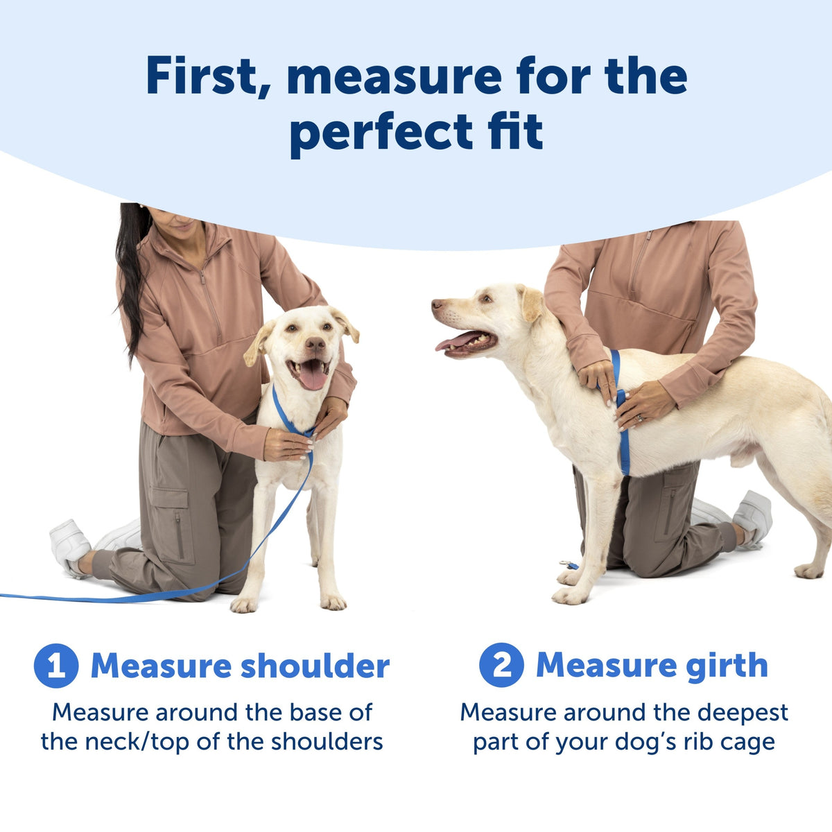 Easy Walk® 3 in 1 Harness with Two Point Control Leash