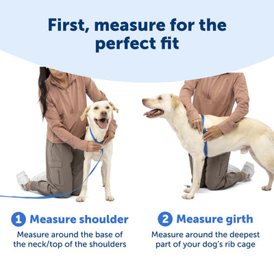 Easy Walk® 3 in 1 Harness with Two Point Control Leash