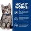 Hill's Prescription Diet | Alimento seco para gatitos Digestive Care i/d