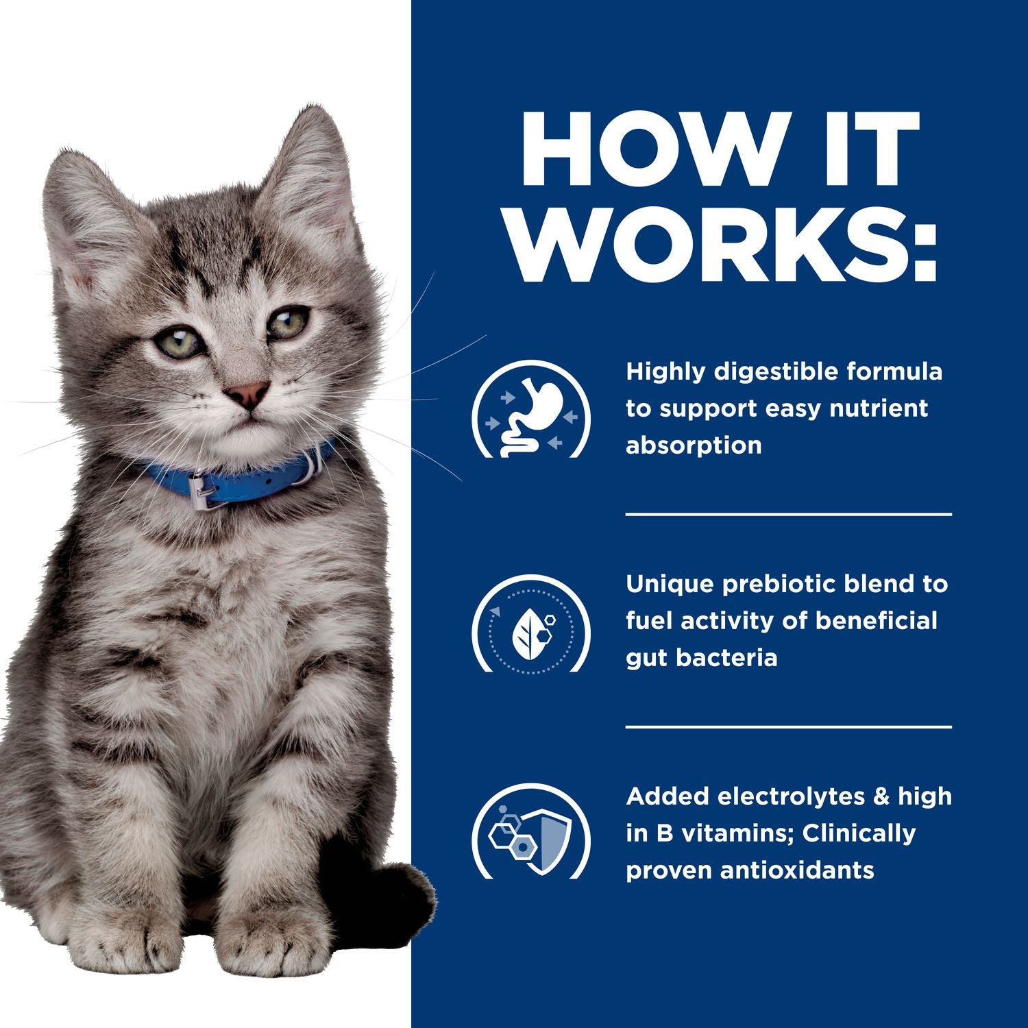 Hill's Prescription Diet | Alimento seco para gatitos Digestive Care i/d