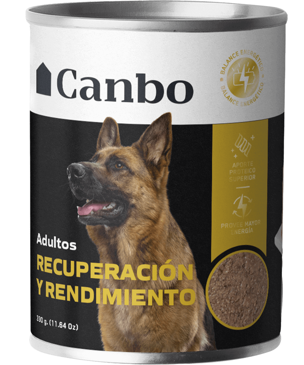 Canbo | DOG PATE RECUPERACIÓN Y RENDIMIENTO AD